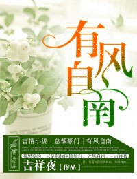 有風自南小說