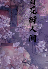 有花醉人間小說