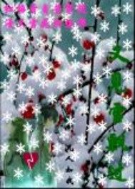 又見雪飄過小說