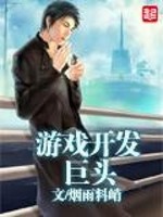 遊戲開發巨頭小說