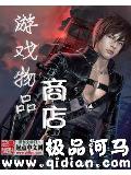 遊戲物品商店小說