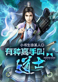有種高手叫道士小說