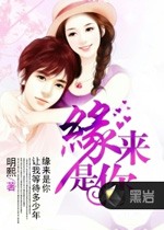 緣來是你小說