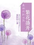 願你所到之處繁花盛開小說