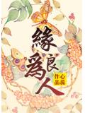緣爲良人小說