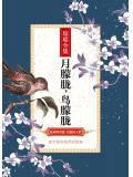 月朦朧鳥朦朧小說
