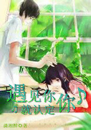 遇見你就認定你小說