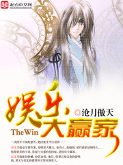 娛樂大贏家小說