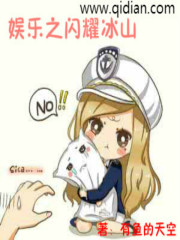 娛樂之閃耀冰山小說