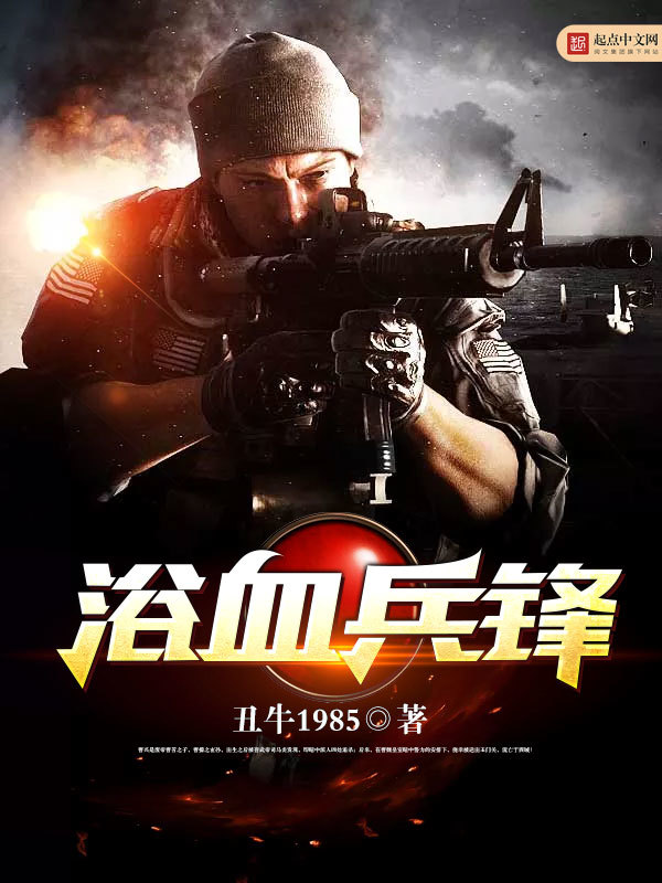 浴血兵鋒小說