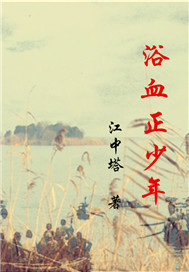 浴血正少年小說