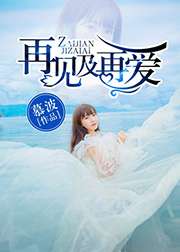 再見及再愛小說