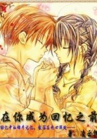 在你成爲回憶之前小說