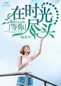 在時光盡頭等你小說