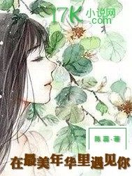 在最美年華里遇見你小說