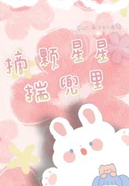 摘顆星星揣兜裡小說