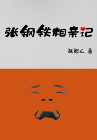 張鋼鐵相親記小說