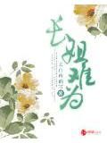 長姐難爲小說