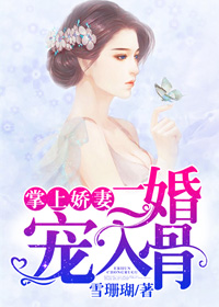 掌上嬌妻，二婚寵入骨小說