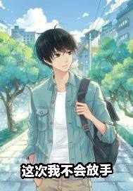 這次我不會放手小說