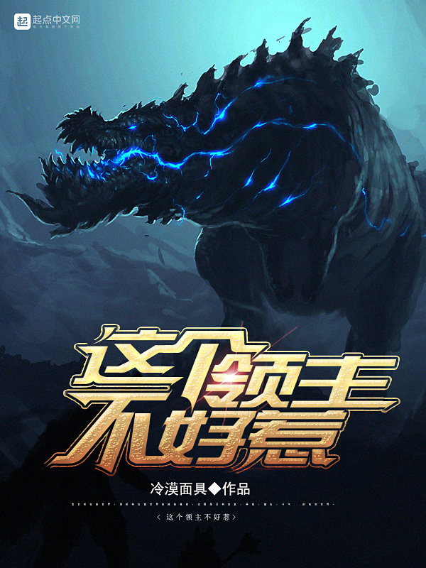 這個領主不好惹小說