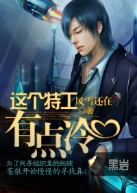 這個特工有點冷小說