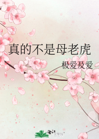 真的不是母老虎小說