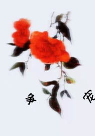 爭 寵小說