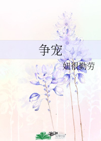 爭寵小說