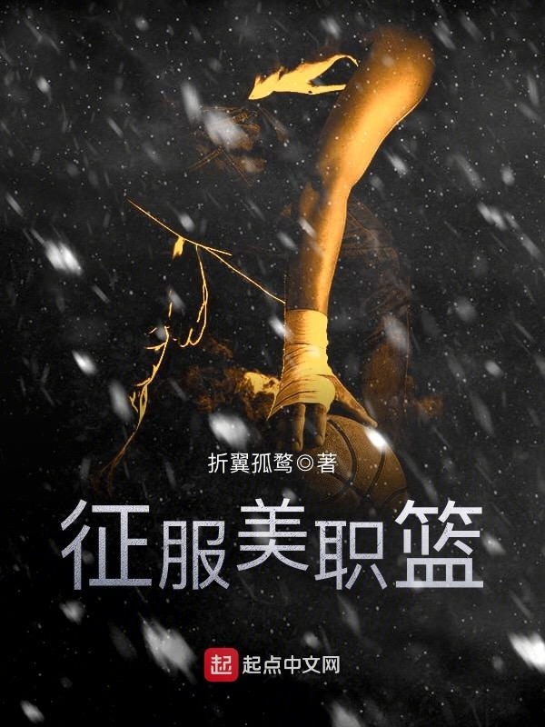 征服美職籃小說