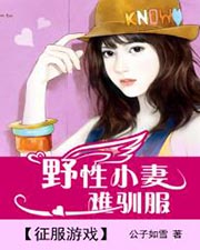 征服遊戲:野性小妻難馴服小說