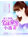 枕上寵婚：全球豪娶小逃妻小說