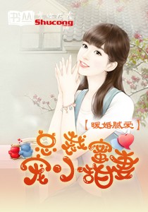 枕上暖婚：萌上小甜妻小說