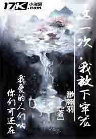 這一次我放下牢籠小說