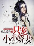 只寵小小嬌妻小說