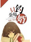 只釣金龜婿小說