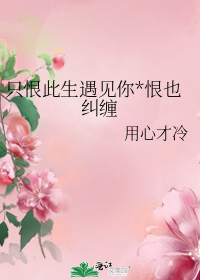 只恨此生遇見你恨也糾纏小說