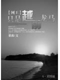 只是越前龍馬小說