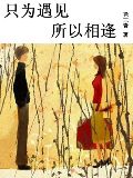 只爲遇見,所以相逢小說