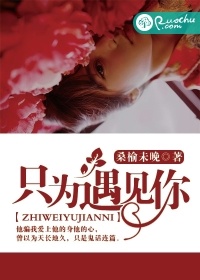 只爲遇見你小說