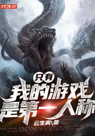 只有我的遊戲是第一人稱小說