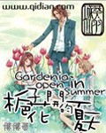 梔子花開的夏天小說