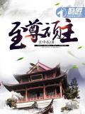至尊頑主小說