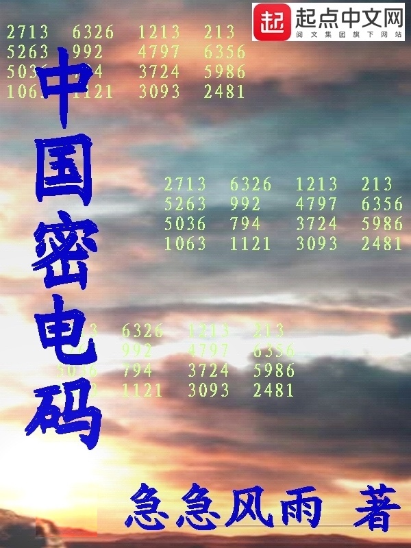 中國密電碼小說