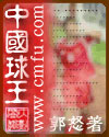 中國球王小說