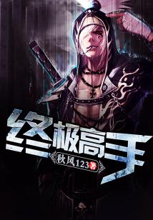 終極高手小說