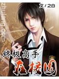 終極高手在校園小說
