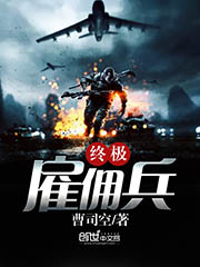 終極僱傭兵小說