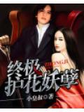 終極護花妖孽小說