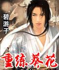 重練葵花小說
